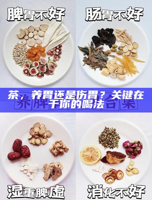 茶，养胃还是伤胃？关键在于你的喝法